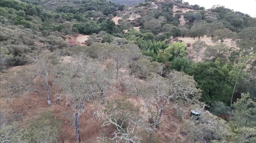 12760 El Camino Real Atascadero, CA 93422