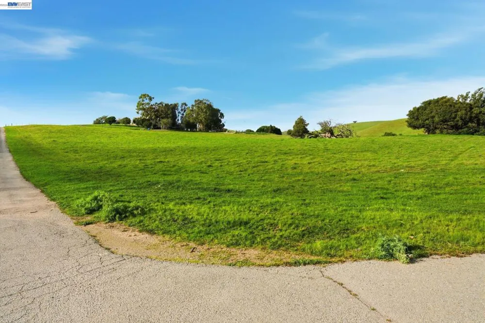 2395 Tecado Ter Fremont, CA 94539