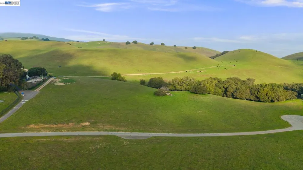 2395 Tecado Ter Fremont, CA 94539