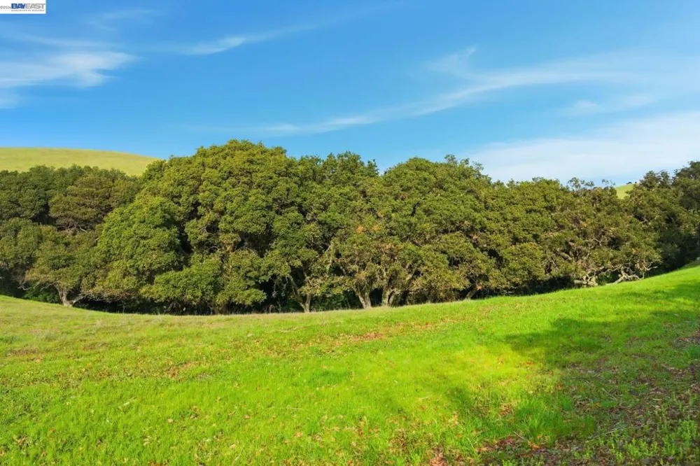 2395 Tecado Ter Fremont, CA 94539