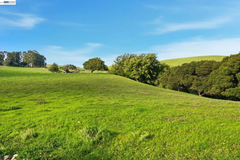 2395 Tecado Ter Fremont, CA 94539