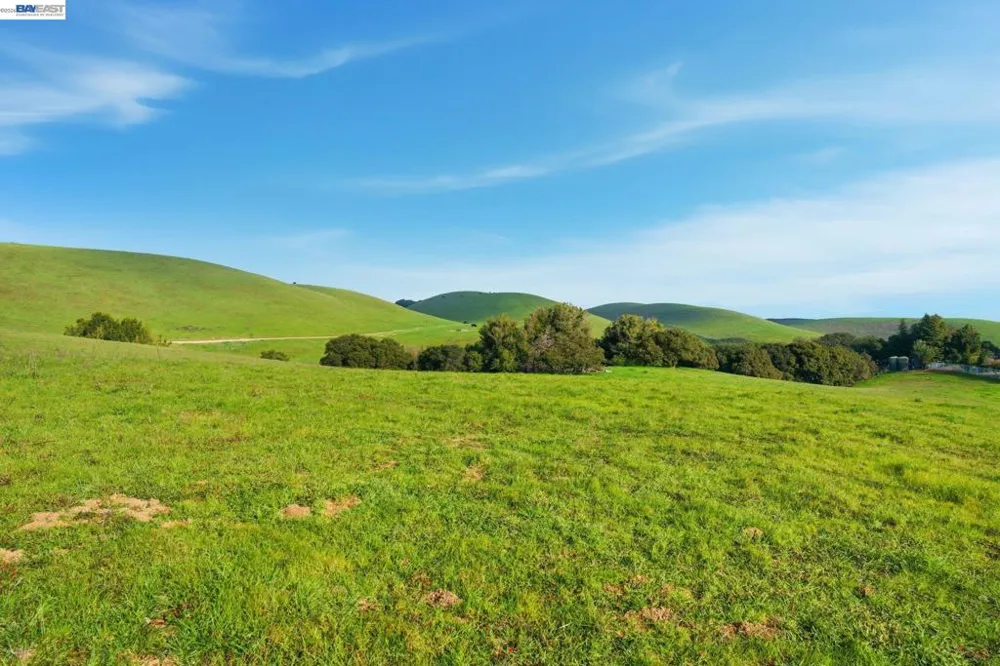 2395 Tecado Ter Fremont, CA 94539
