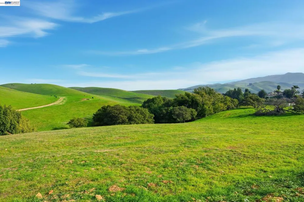 2395 Tecado Ter Fremont, CA 94539