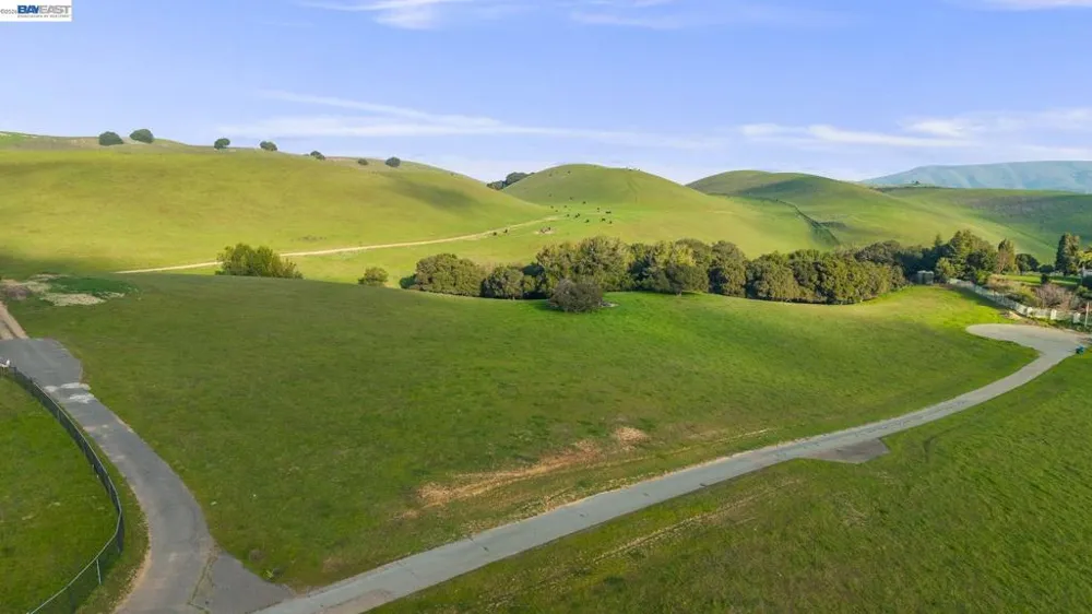 2395 Tecado Ter Fremont, CA 94539