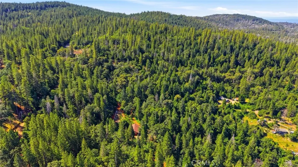 40 White Fir Oroville, CA 95966