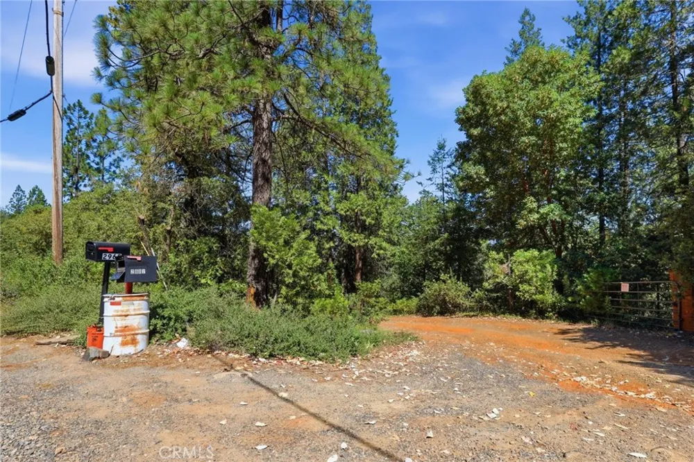 40 White Fir Oroville, CA 95966