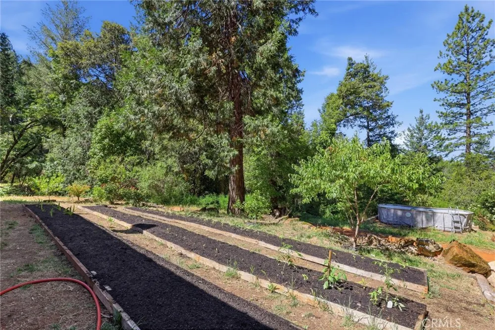 40 White Fir Oroville, CA 95966