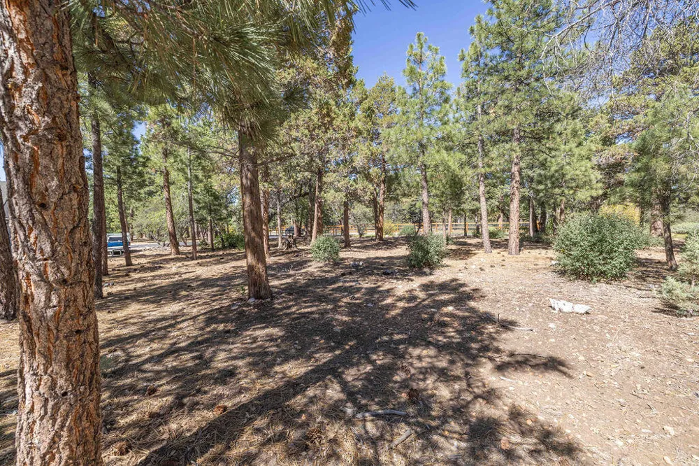 655 Cedar Glen Drive Big Bear, CA 92314