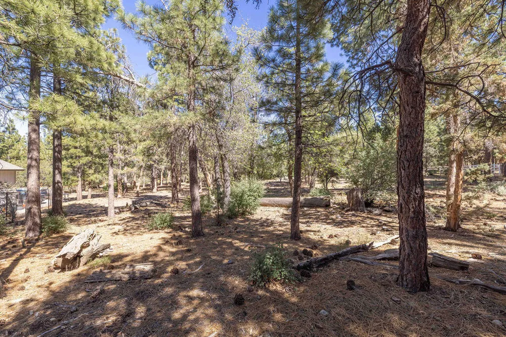 655 Cedar Glen Drive Big Bear, CA 92314