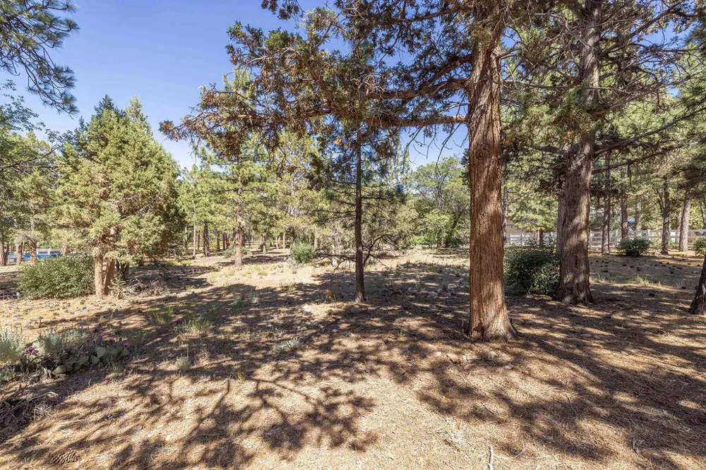 655 Cedar Glen Drive Big Bear, CA 92314