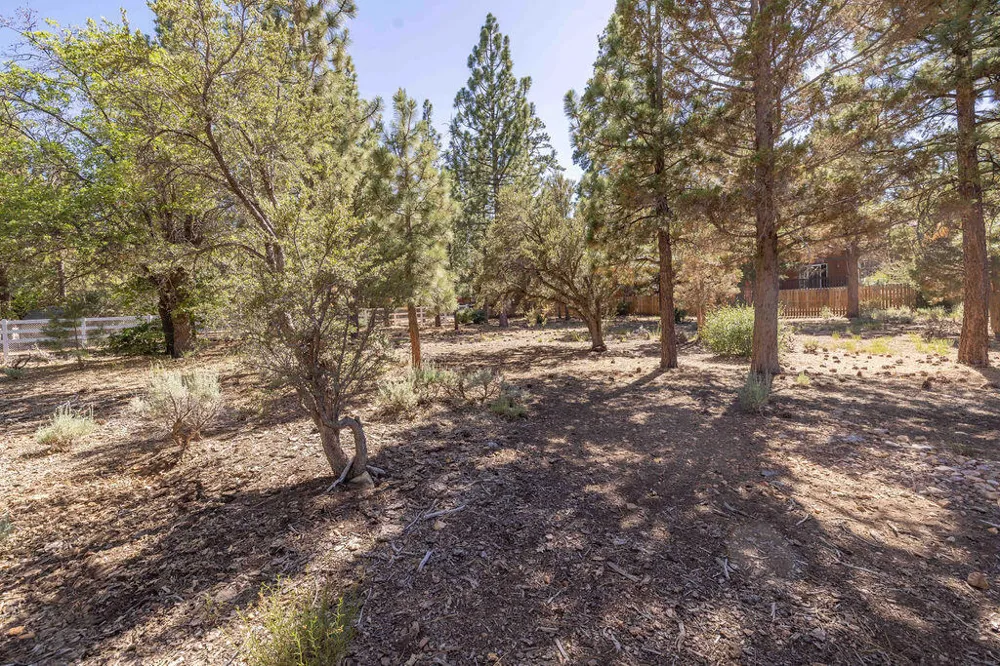 655 Cedar Glen Drive Big Bear, CA 92314