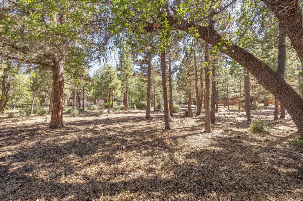 655 Cedar Glen Drive Big Bear, CA 92314