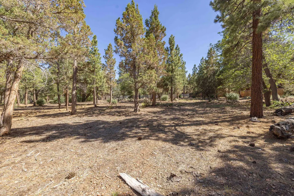 655 Cedar Glen Drive Big Bear, CA 92314