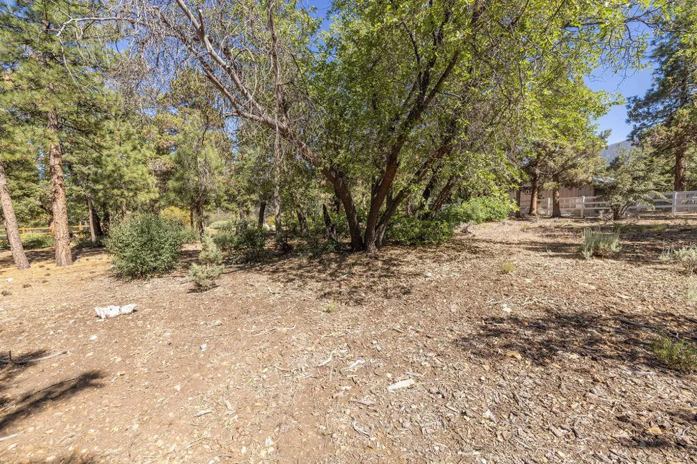 655 Cedar Glen Drive Big Bear, CA 92314