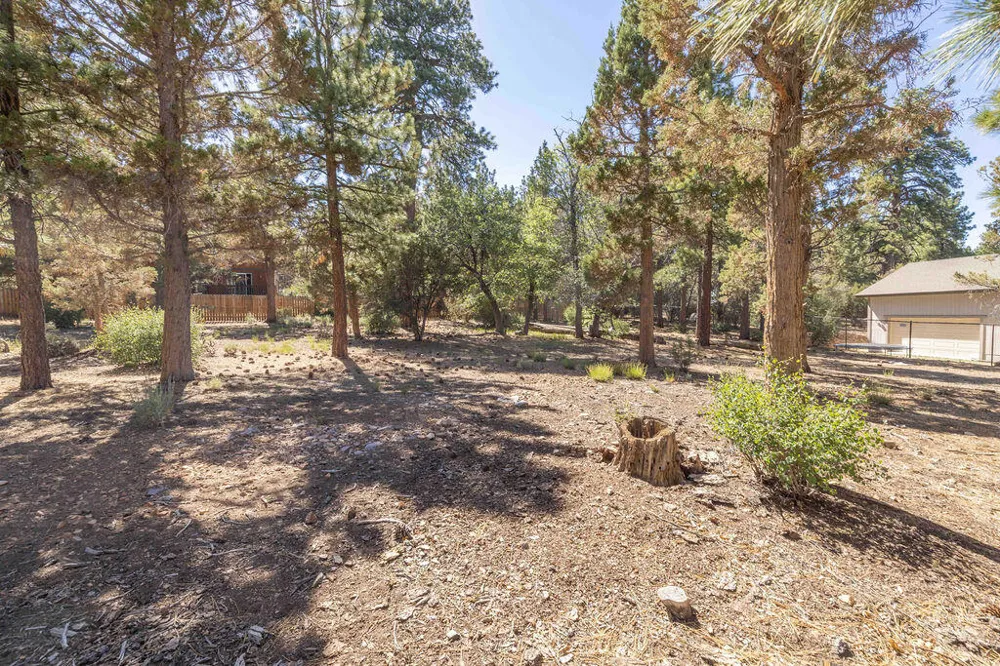 655 Cedar Glen Drive Big Bear, CA 92314