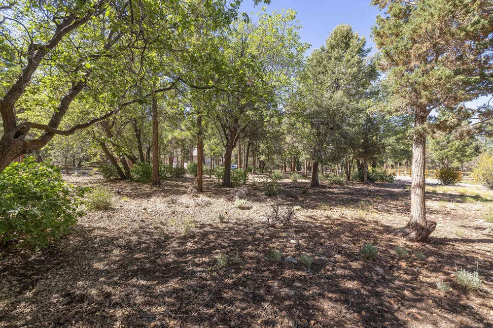 655 Cedar Glen Drive Big Bear, CA 92314