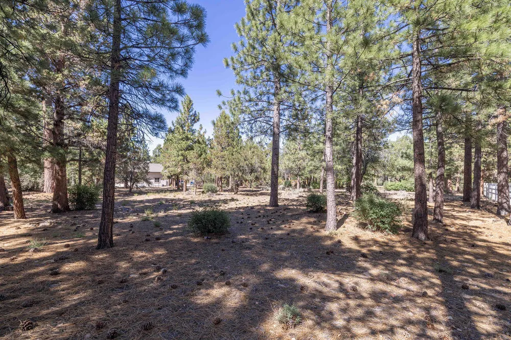 655 Cedar Glen Drive Big Bear, CA 92314