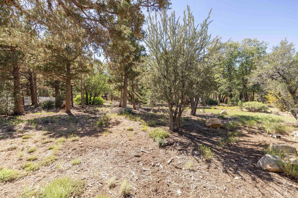 655 Cedar Glen Drive Big Bear, CA 92314