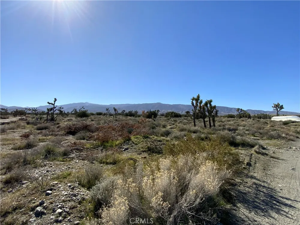 9040 La Tuna Sun Valley, CA 91352