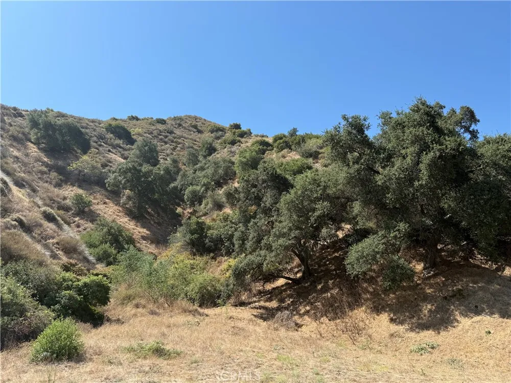 9040 La Tuna Sun Valley, CA 91352