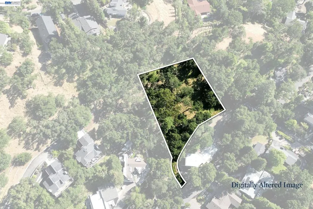 247 Sequoia Ave Walnut Creek, CA 94595