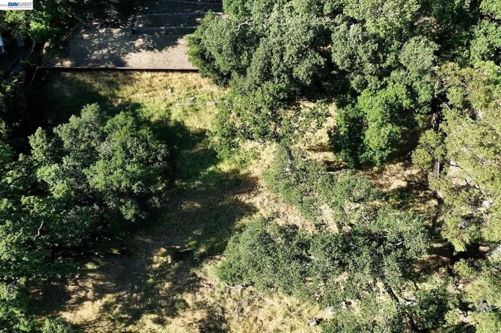 247 Sequoia Ave Walnut Creek, CA 94595