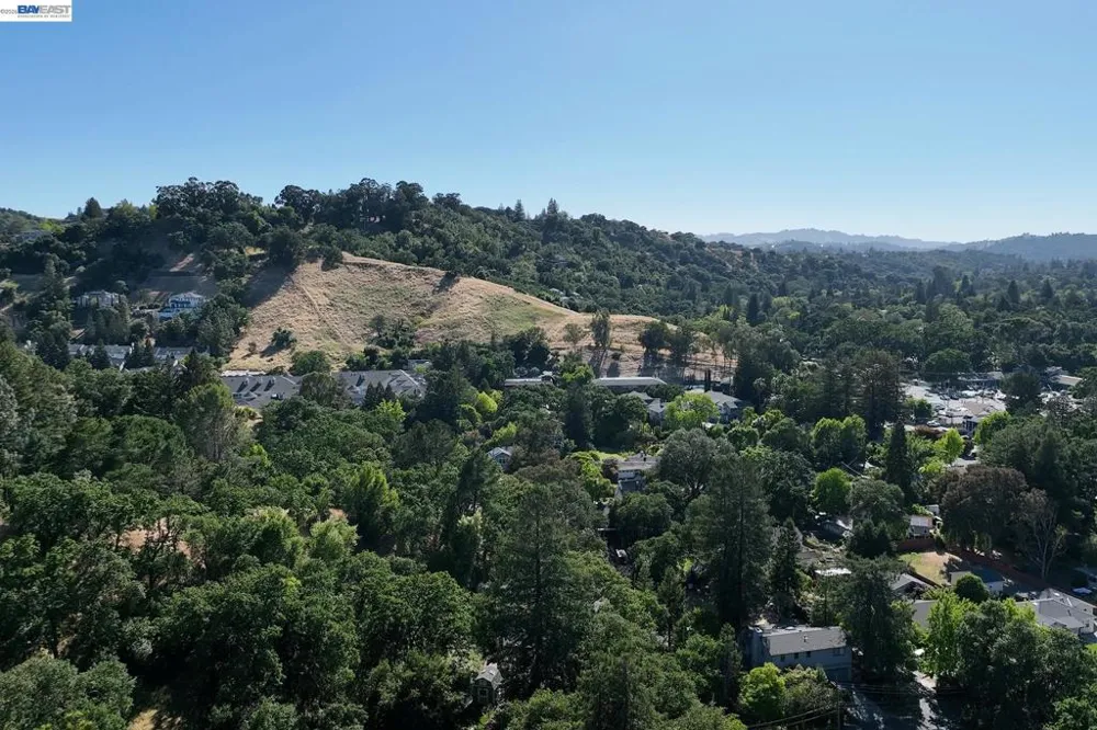 247 Sequoia Ave Walnut Creek, CA 94595