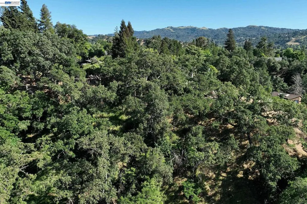 247 Sequoia Ave Walnut Creek, CA 94595