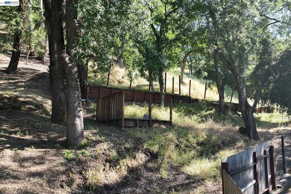 247 Sequoia Ave Walnut Creek, CA 94595