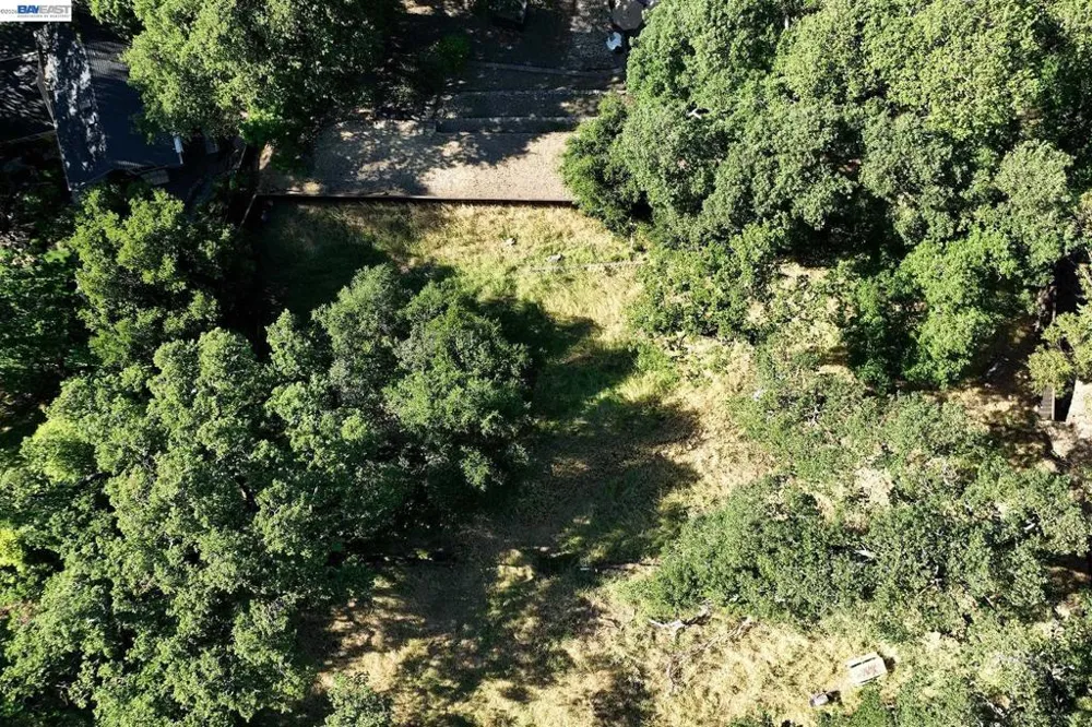 247 Sequoia Ave Walnut Creek, CA 94595