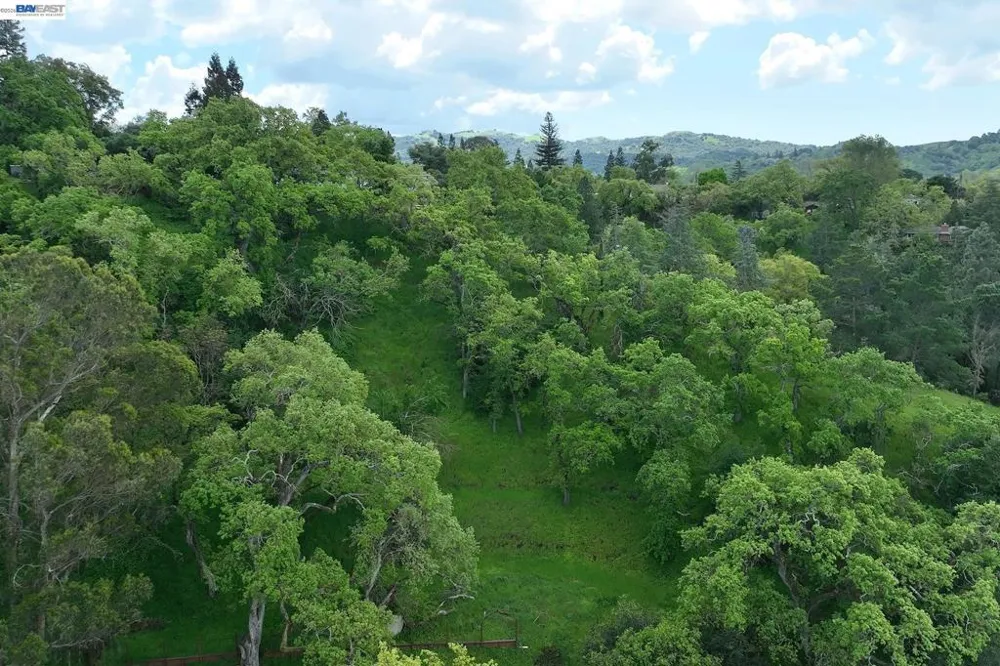 247 Sequoia Ave Walnut Creek, CA 94595