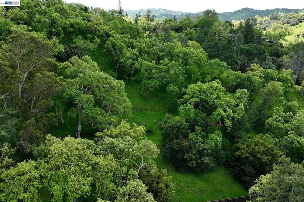 247 Sequoia Ave Walnut Creek, CA 94595