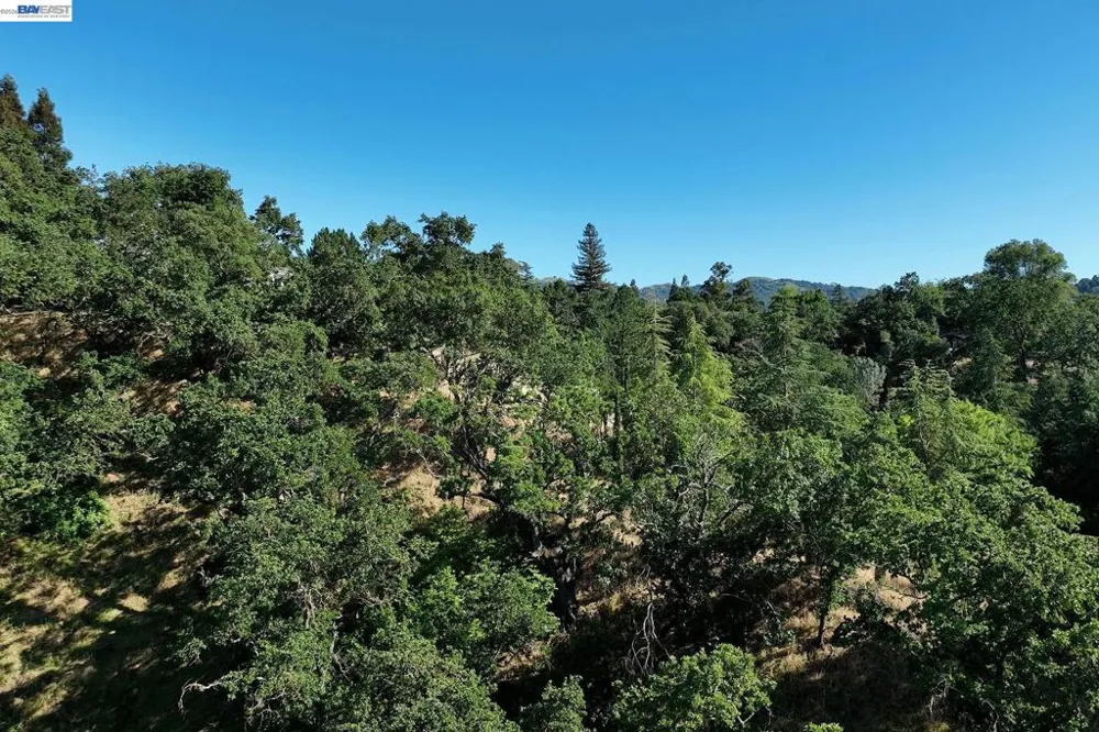 247 Sequoia Ave Walnut Creek, CA 94595