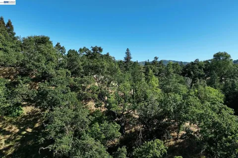 247 Sequoia Ave