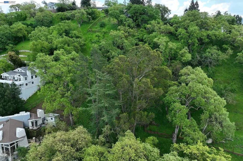 247 Sequoia Ave Walnut Creek, CA 94595