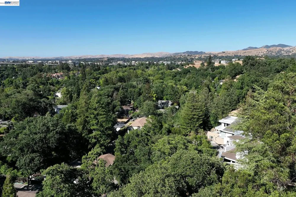 247 Sequoia Ave Walnut Creek, CA 94595