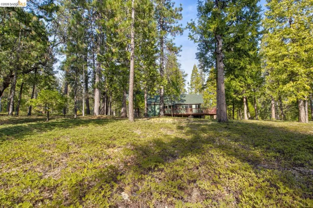1919 Airacobra Arnold, CA 95223