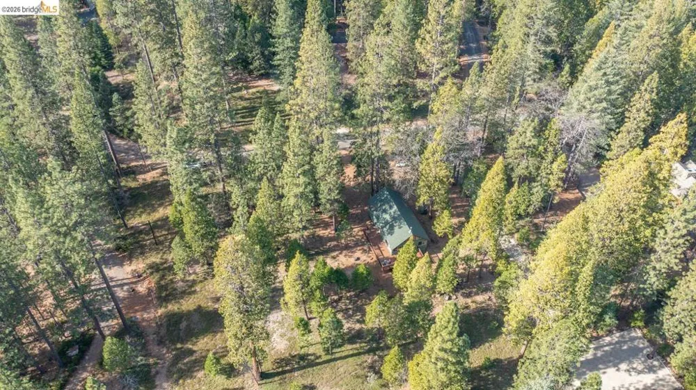 1919 Airacobra Arnold, CA 95223