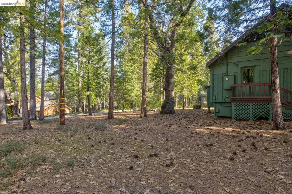 1919 Airacobra Arnold, CA 95223