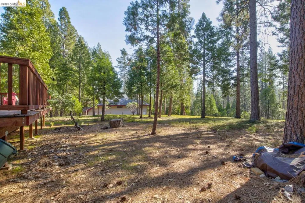 1919 Airacobra Arnold, CA 95223