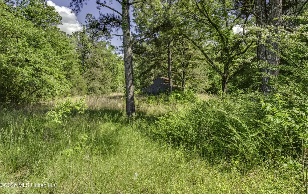 6118 Terry Road Byram, MS 39272