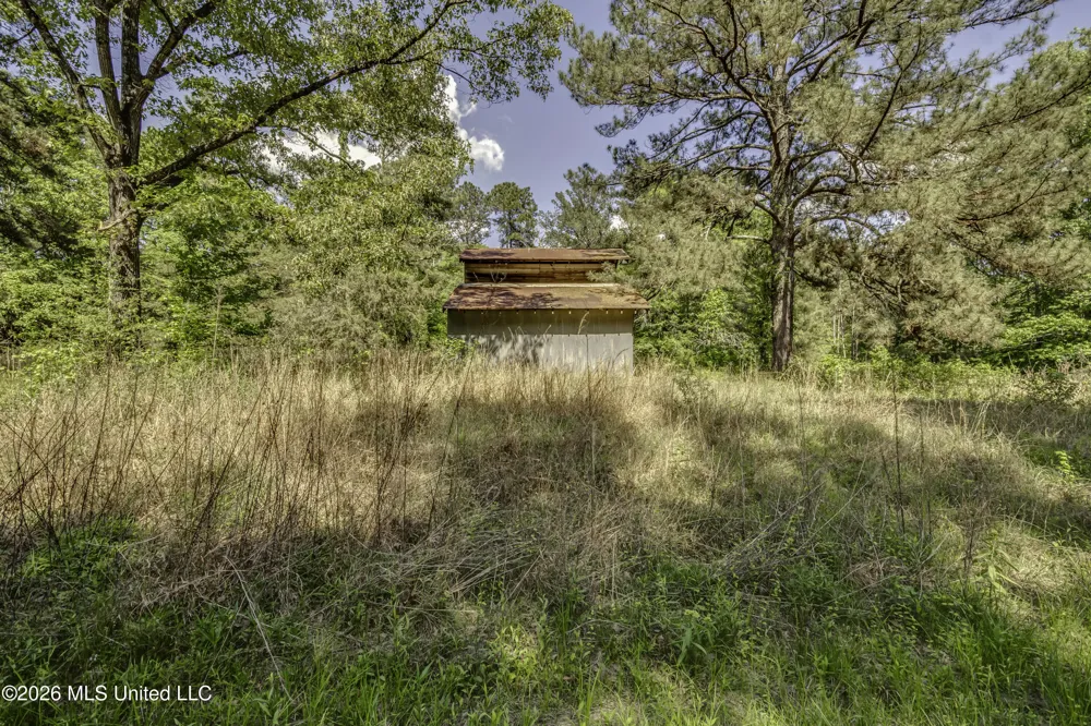 6118 Terry Road Byram, MS 39272