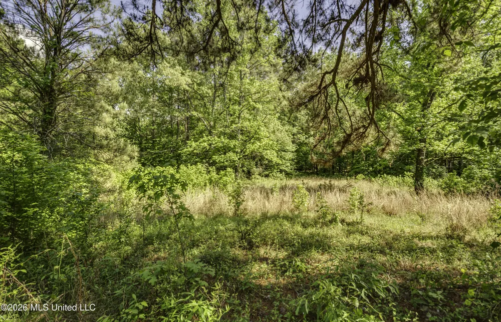 6118 Terry Road Byram, MS 39272