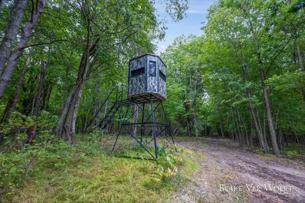 13980 12 Mile Remus, MI 49340