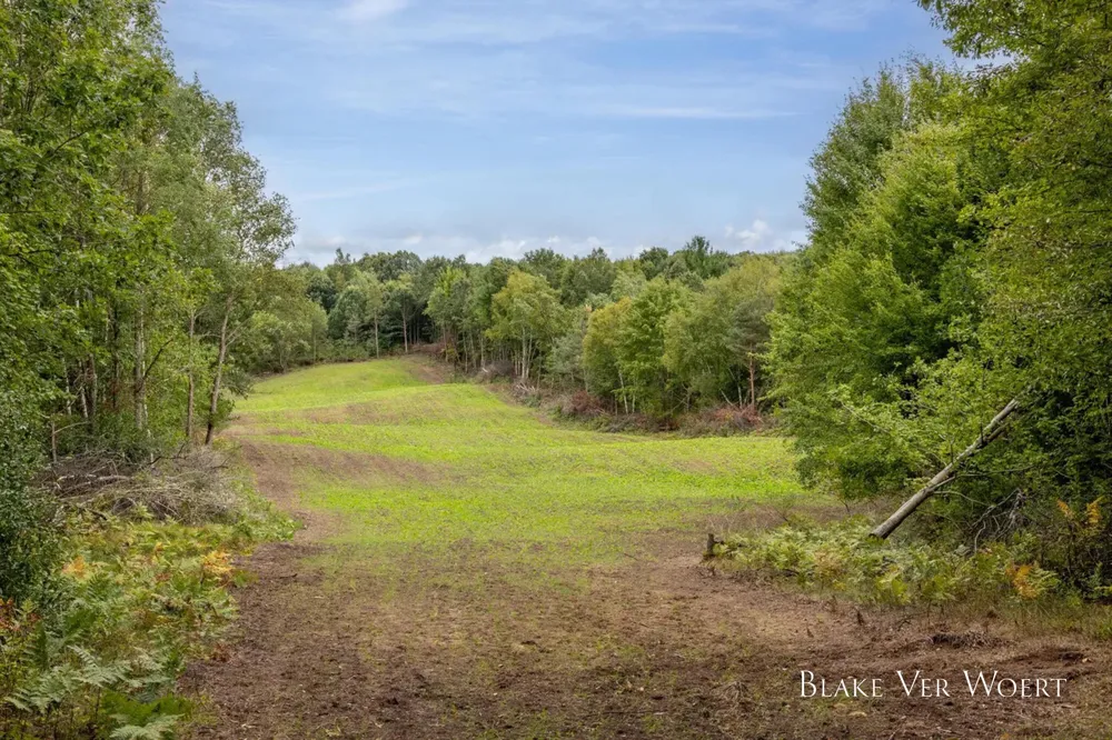 13980 12 Mile Remus, MI 49340