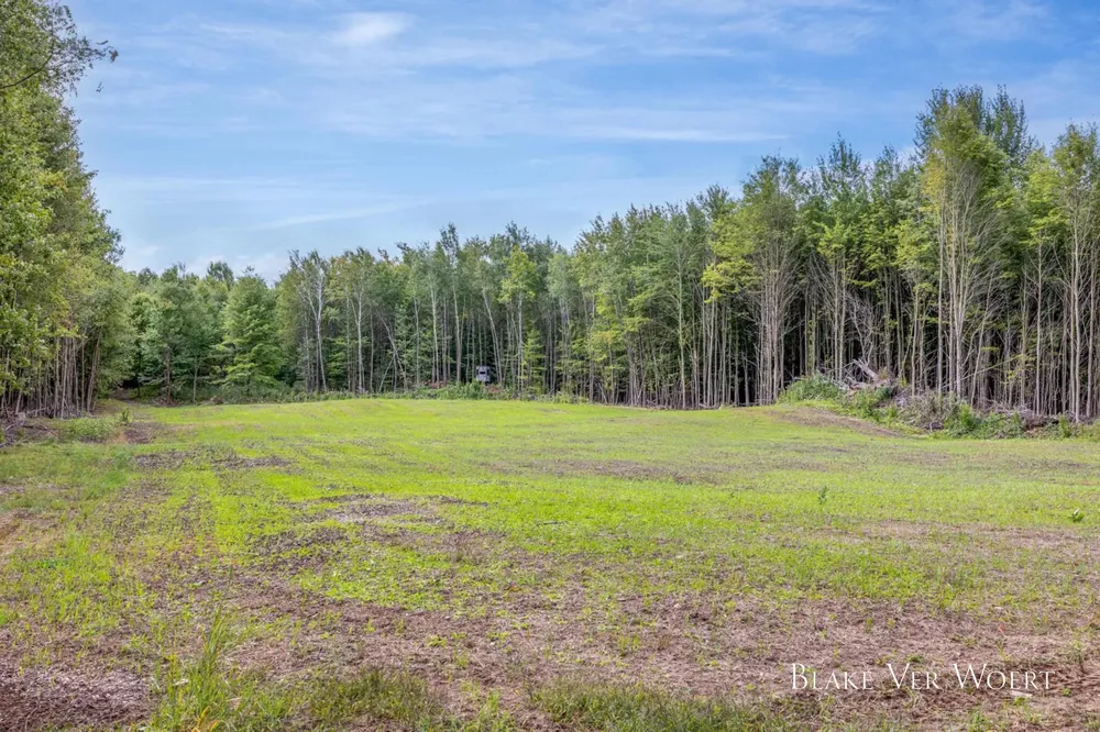 13980 12 Mile Remus, MI 49340