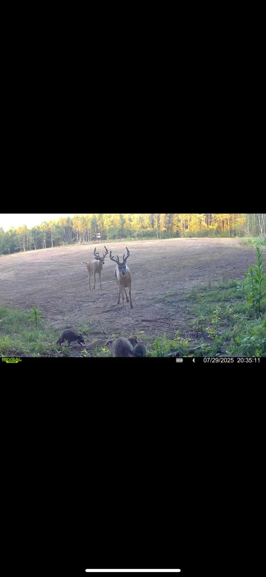 13980 12 Mile Remus, MI 49340