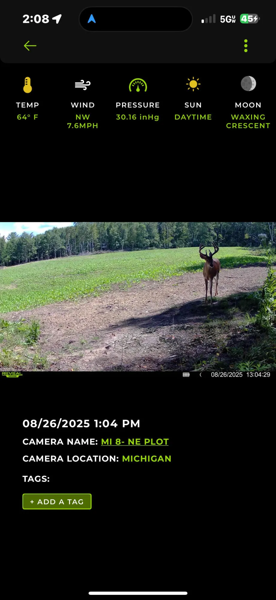13980 12 Mile Remus, MI 49340