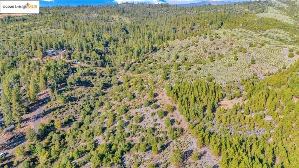 Jackass Creek Rd Groveland, CA 95321