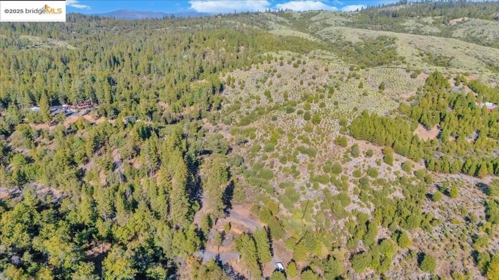 Jackass Creek Rd Groveland, CA 95321